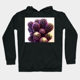 Rare purple gemstone cactus Hoodie